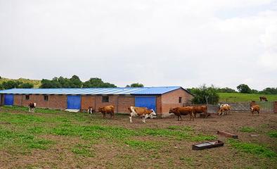 禁牧區(qū)牧民贊國策，生態(tài)與生計(jì)雙贏的新篇章